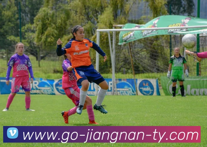 江南体育平台生态图